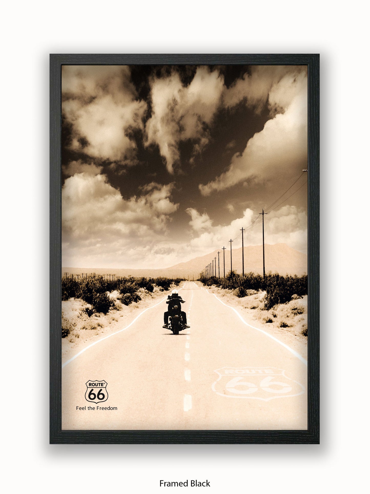 Route 66 Biker Poster