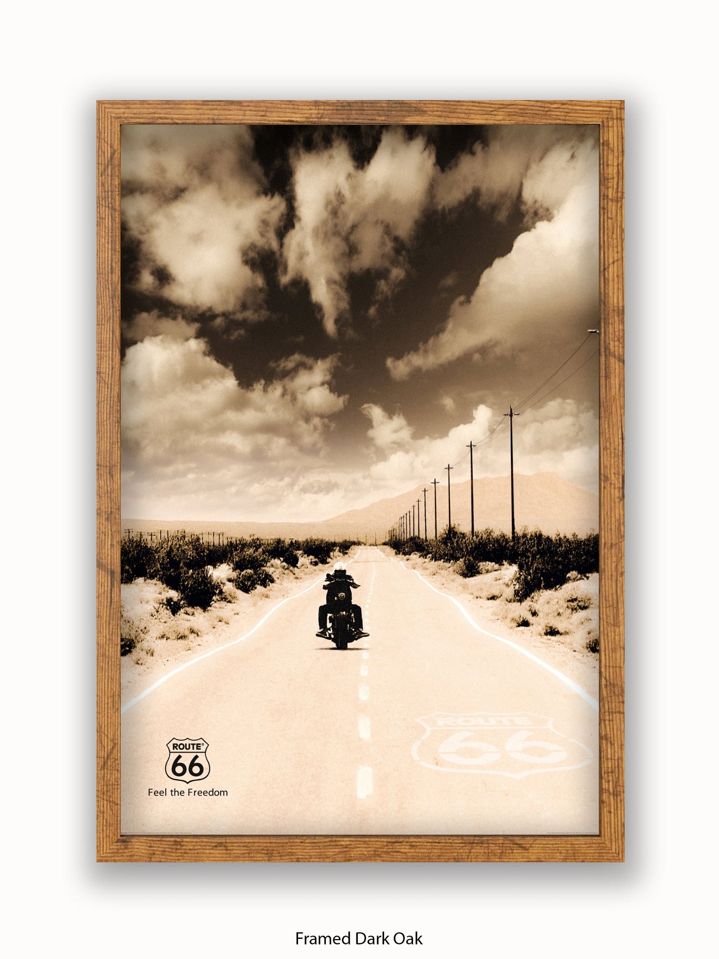 Route 66 Biker Poster