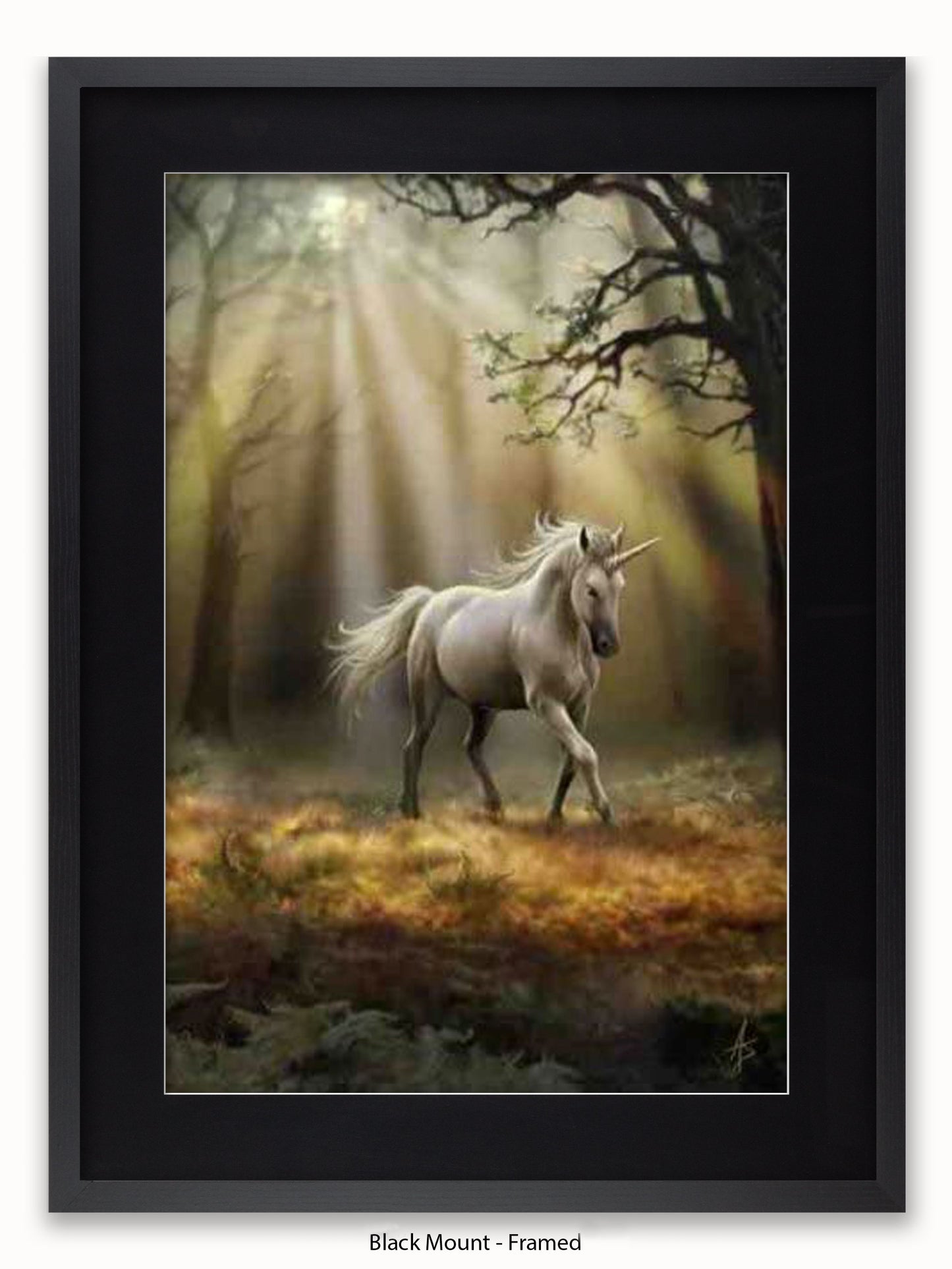 Anne  Stokes  Glimpse  Of  The  Unicorn Poster