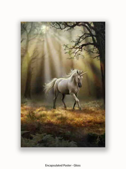 Anne  Stokes  Glimpse  Of  The  Unicorn Poster