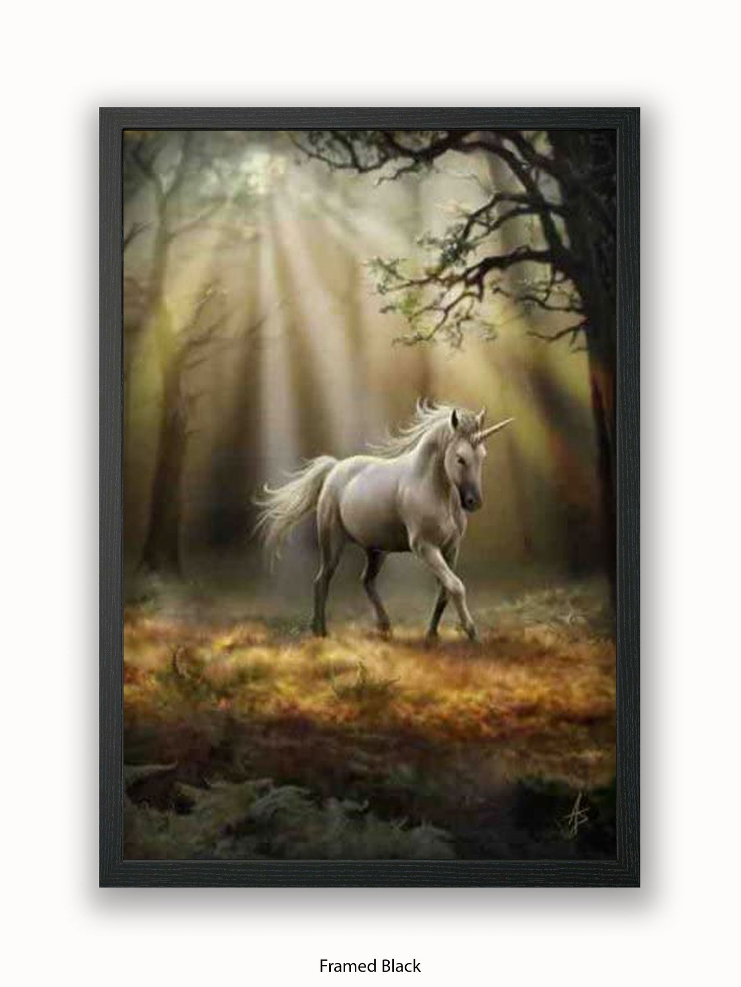 Anne  Stokes  Glimpse  Of  The  Unicorn Poster
