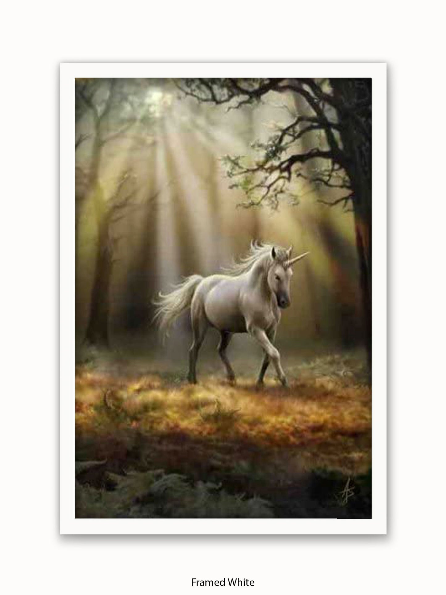 Anne  Stokes  Glimpse  Of  The  Unicorn Poster