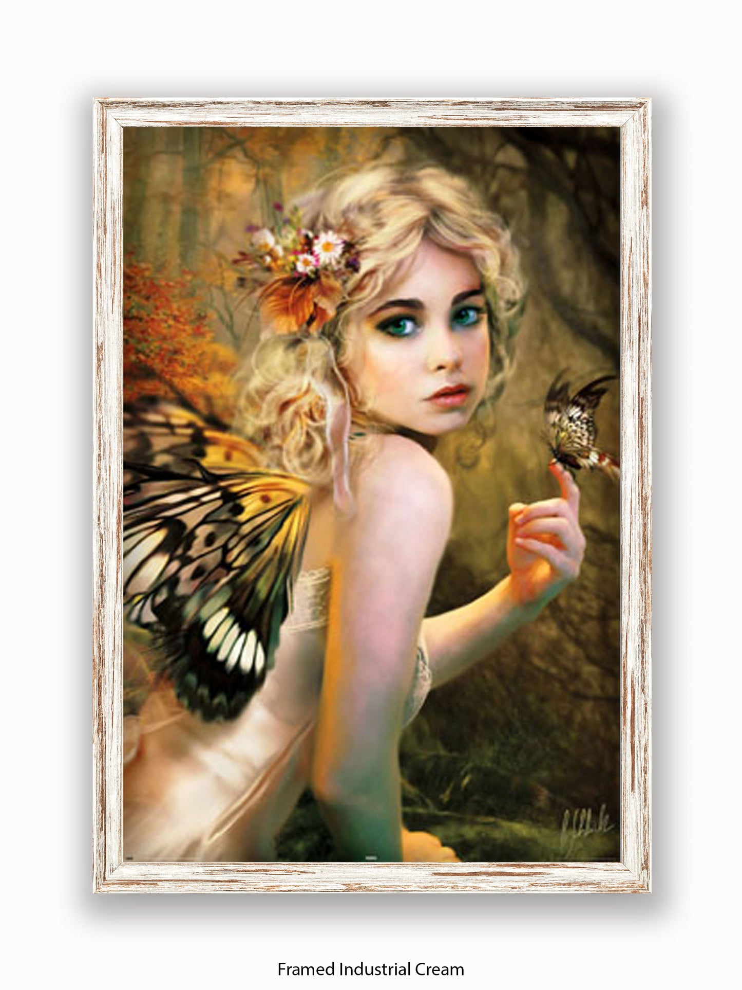 Touch  Of  Gold  Butterfly  Winged  Fairy Poster