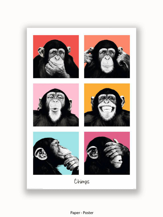 Chimps Pop Art Poster