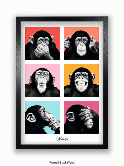 Chimps Pop Art Poster