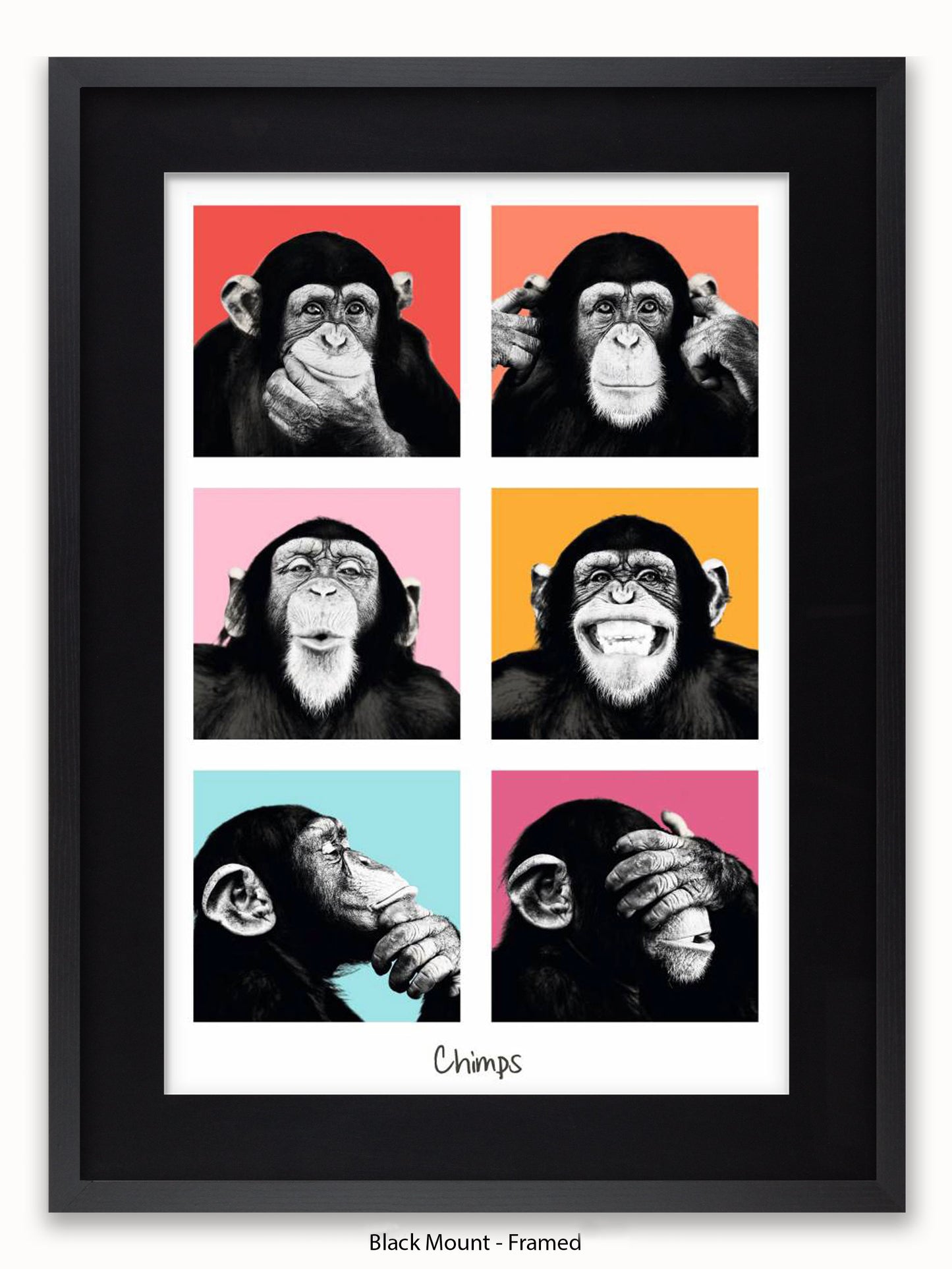 Chimps Pop Art Poster