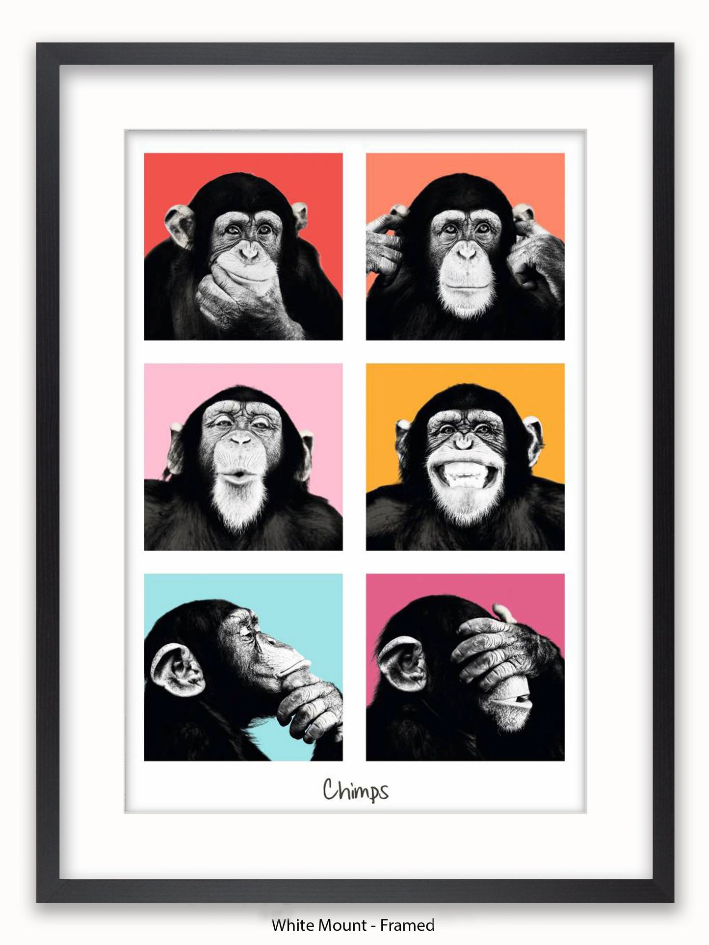 Chimps Pop Art Poster