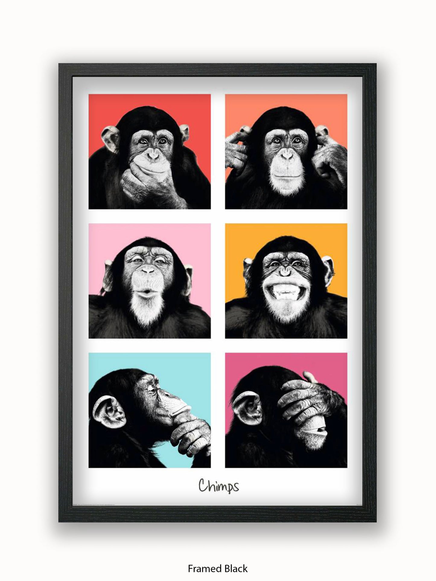 Chimps Pop Art Poster