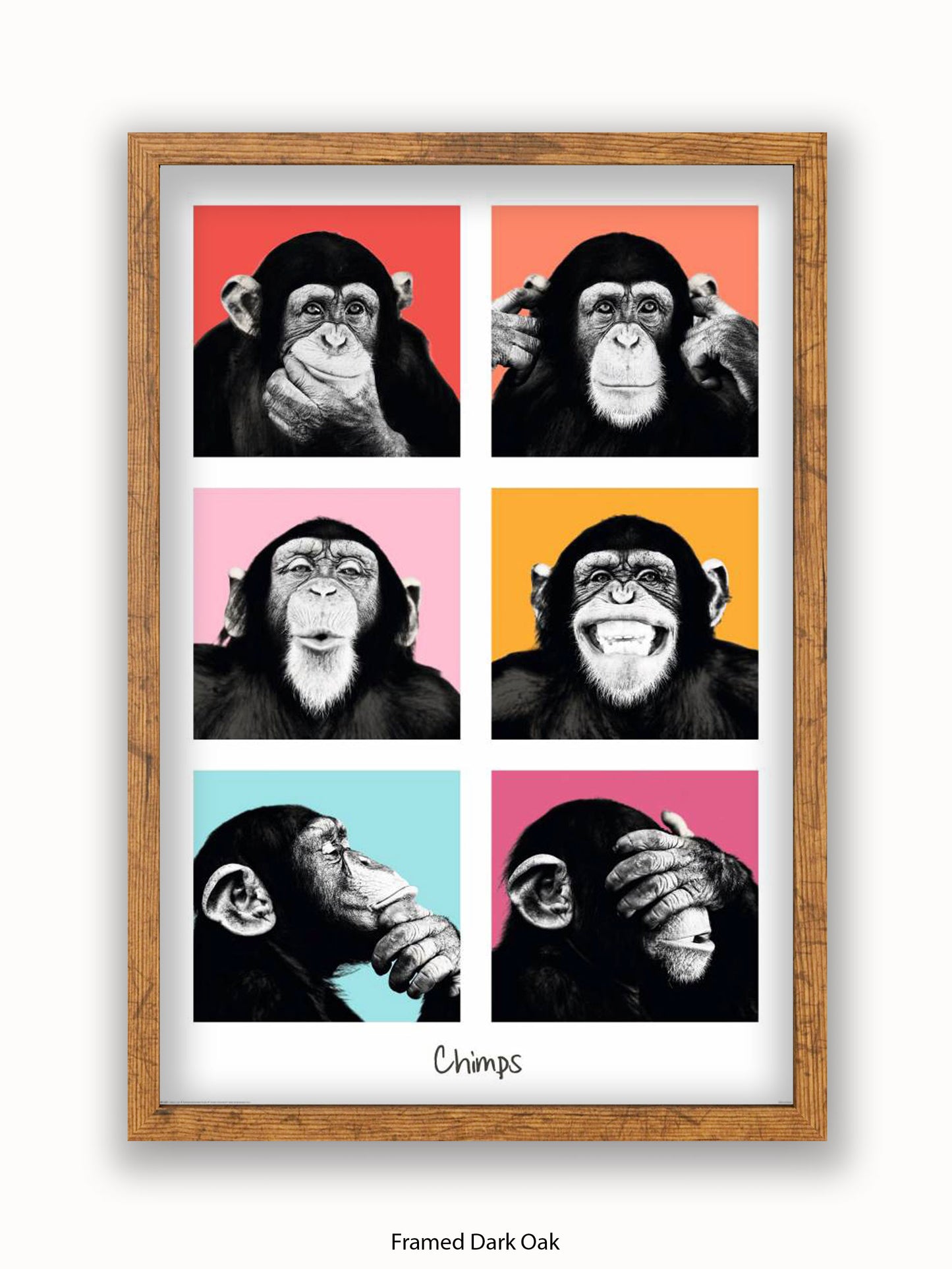 Chimps Pop Art Poster