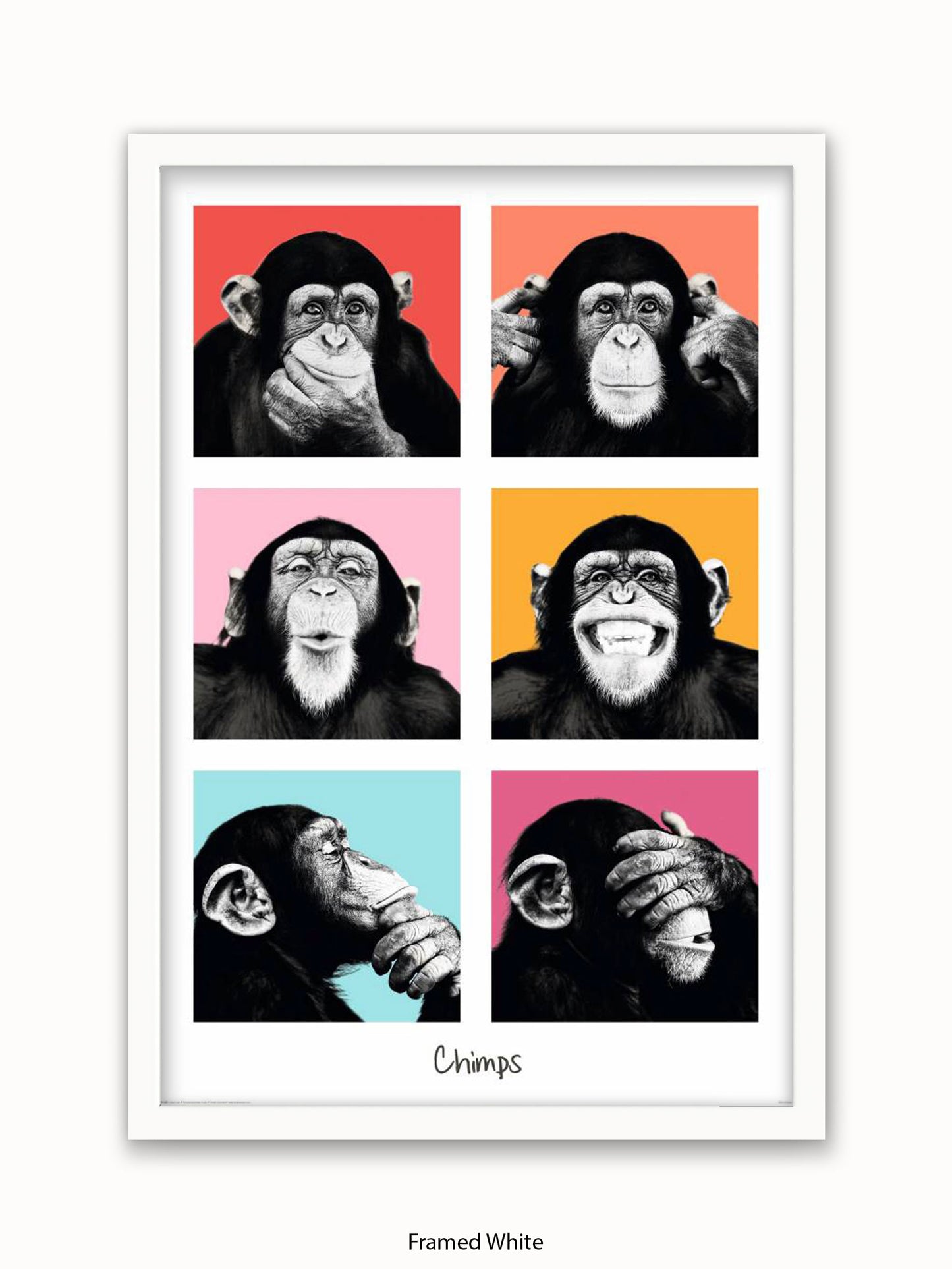 Chimps Pop Art Poster