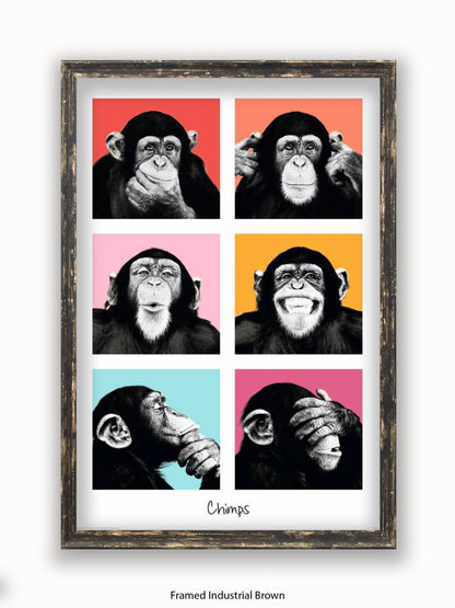 Chimps Pop Art Poster