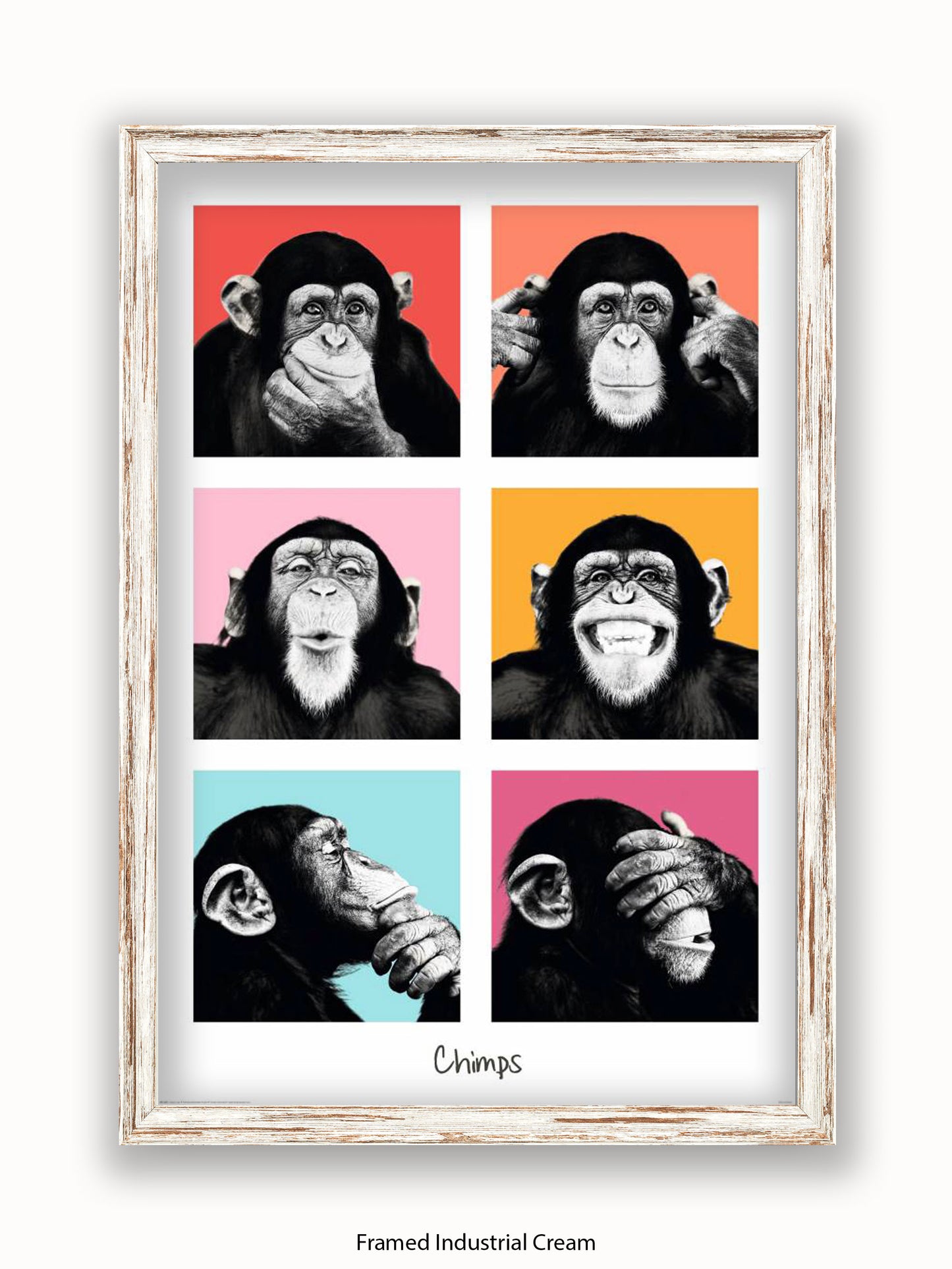 Chimps Pop Art Poster