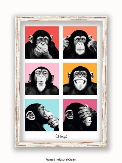 Chimps Pop Art Poster