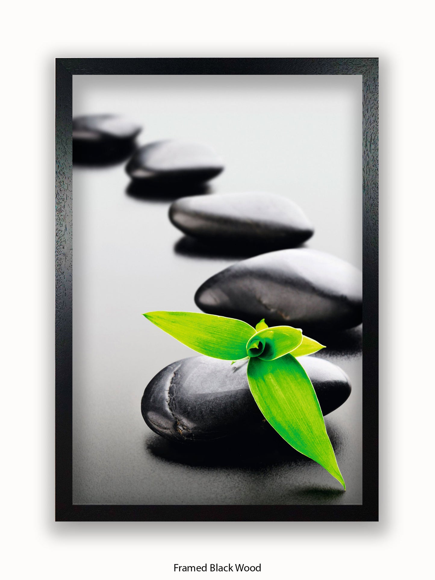 Zen Stones Green Poster
