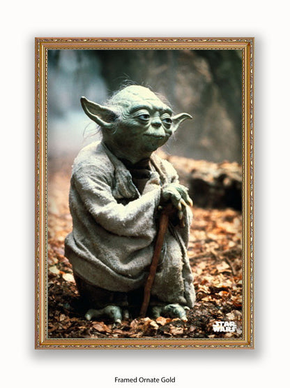 Star Wars Yoda Poster