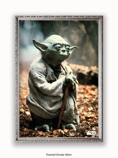 Star Wars Yoda Poster