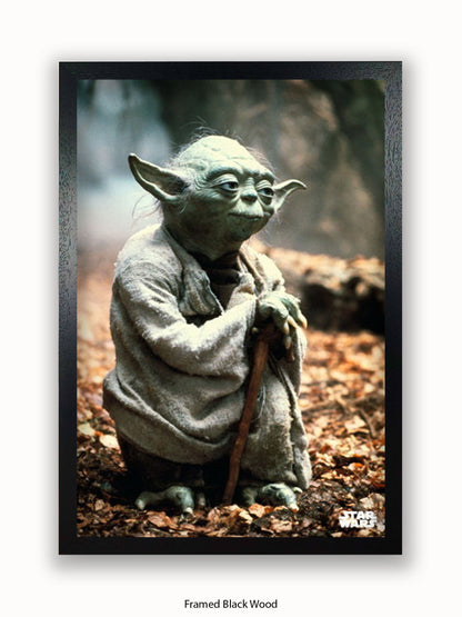 Star Wars Yoda Poster