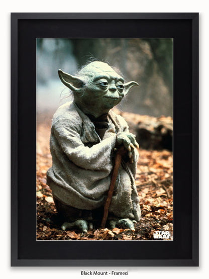 Star Wars Yoda Poster