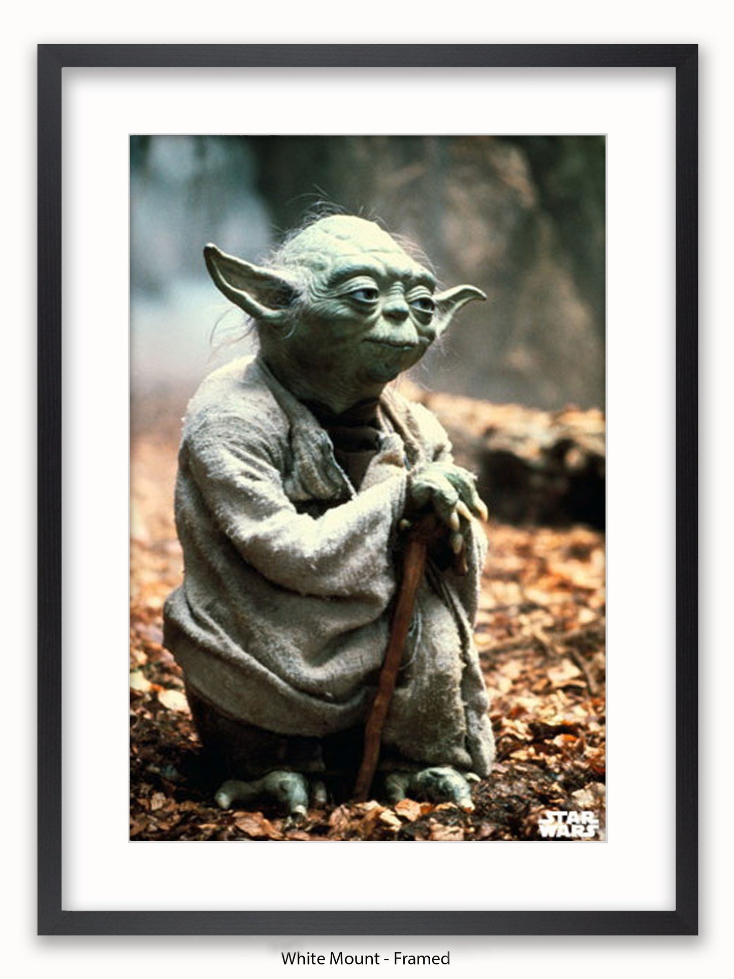 Star Wars Yoda Poster