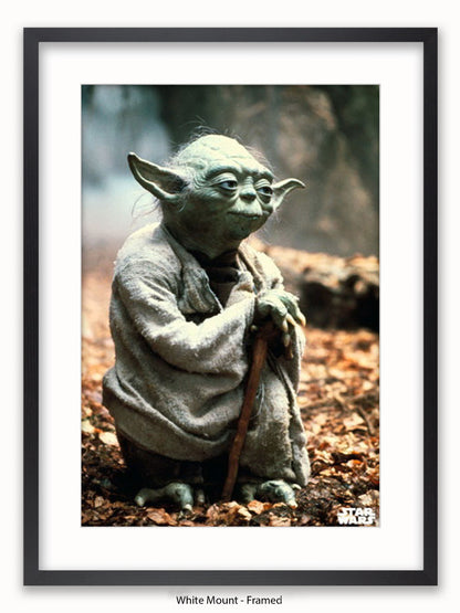 Star Wars Yoda Poster