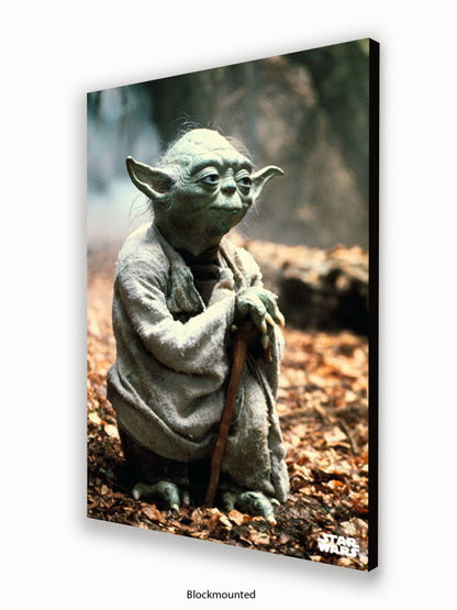 Star Wars Yoda Poster