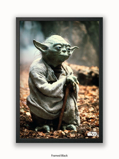 Star Wars Yoda Poster