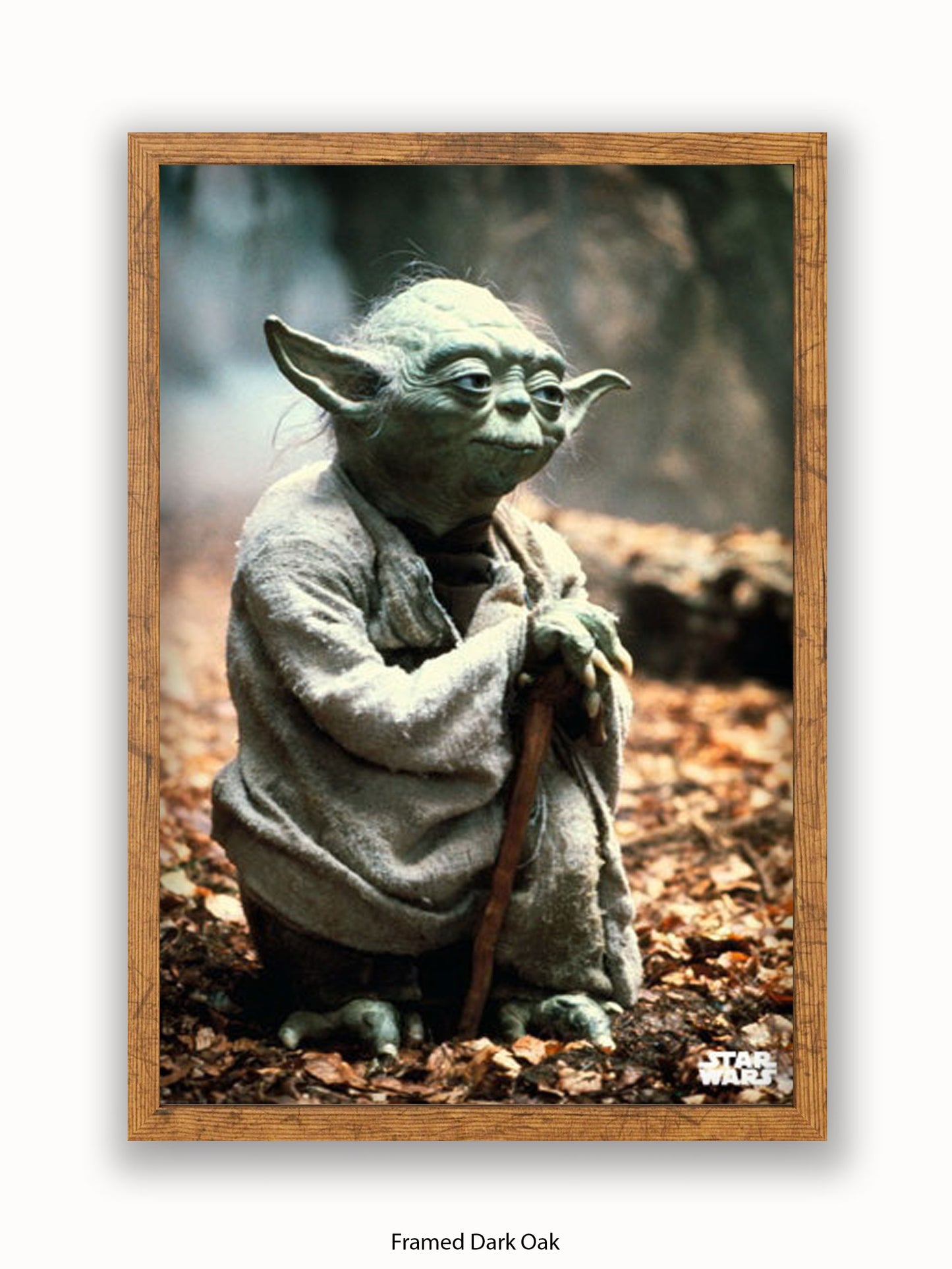 Star Wars Yoda Poster