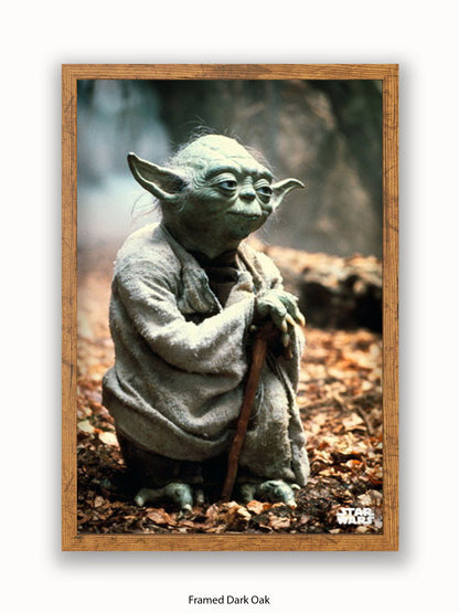 Star Wars Yoda Poster