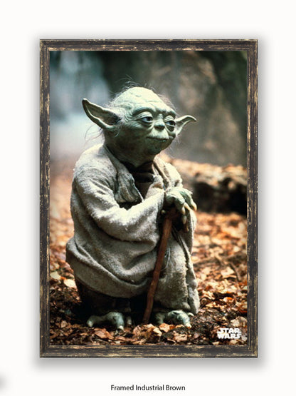 Star Wars Yoda Poster