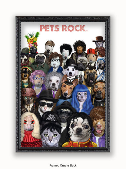Pets  Rock  Crowd  Scene Poster
