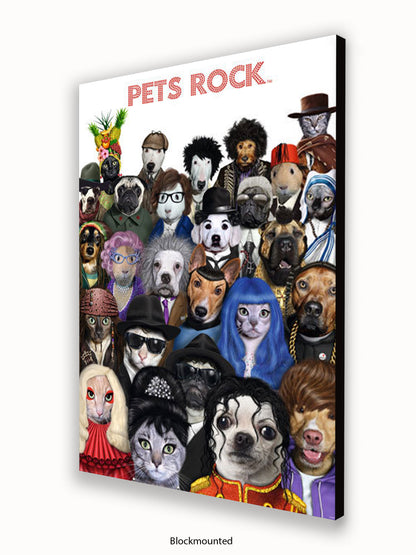 Pets  Rock  Crowd  Scene Poster
