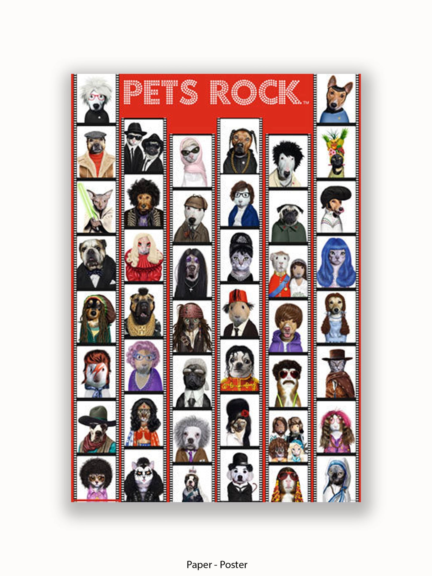 Pets  Rock  Film  Strip Poster