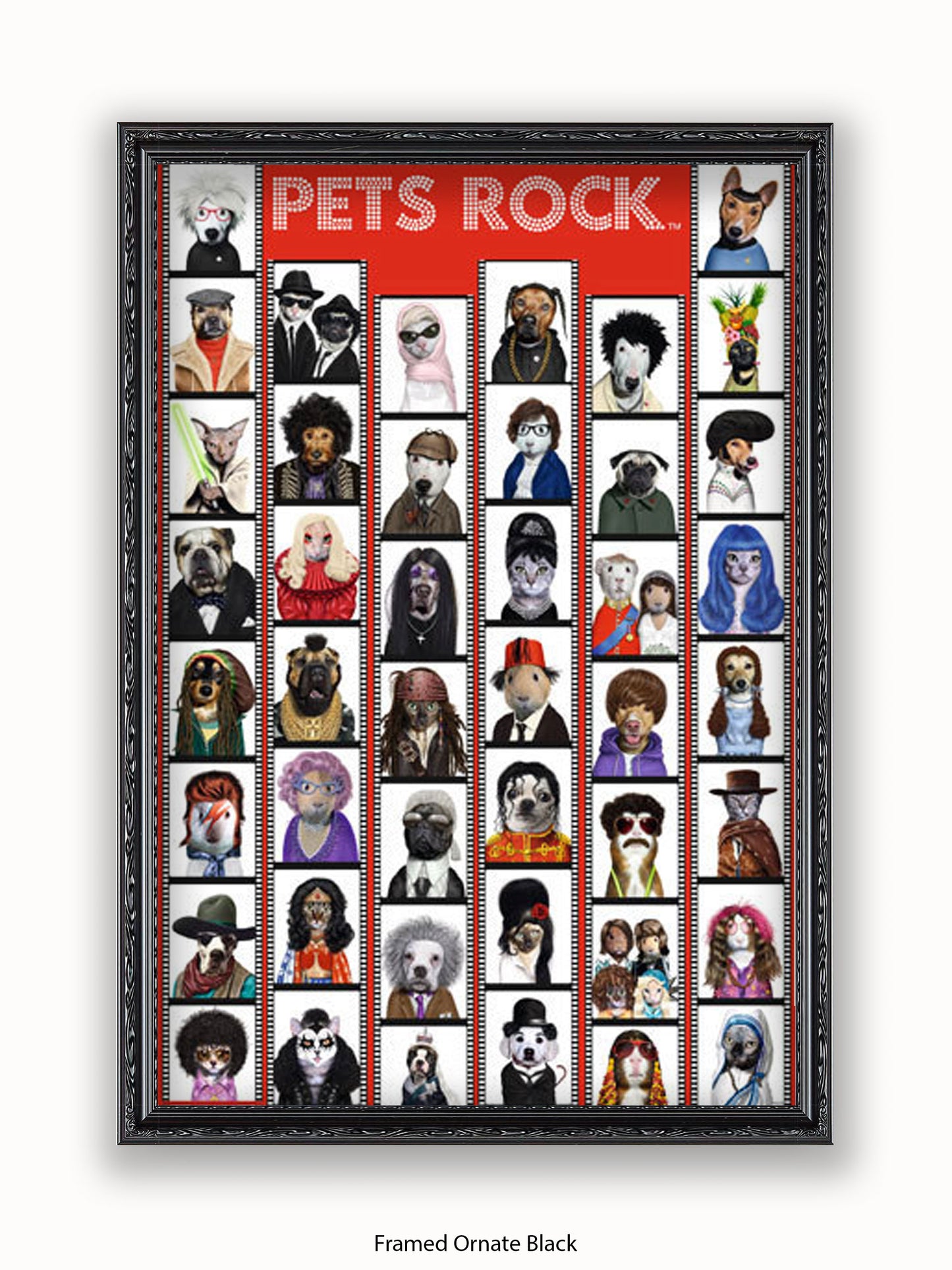 Pets  Rock  Film  Strip Poster