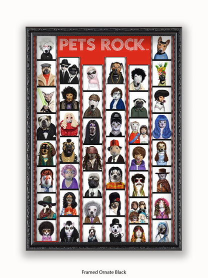 Pets  Rock  Film  Strip Poster