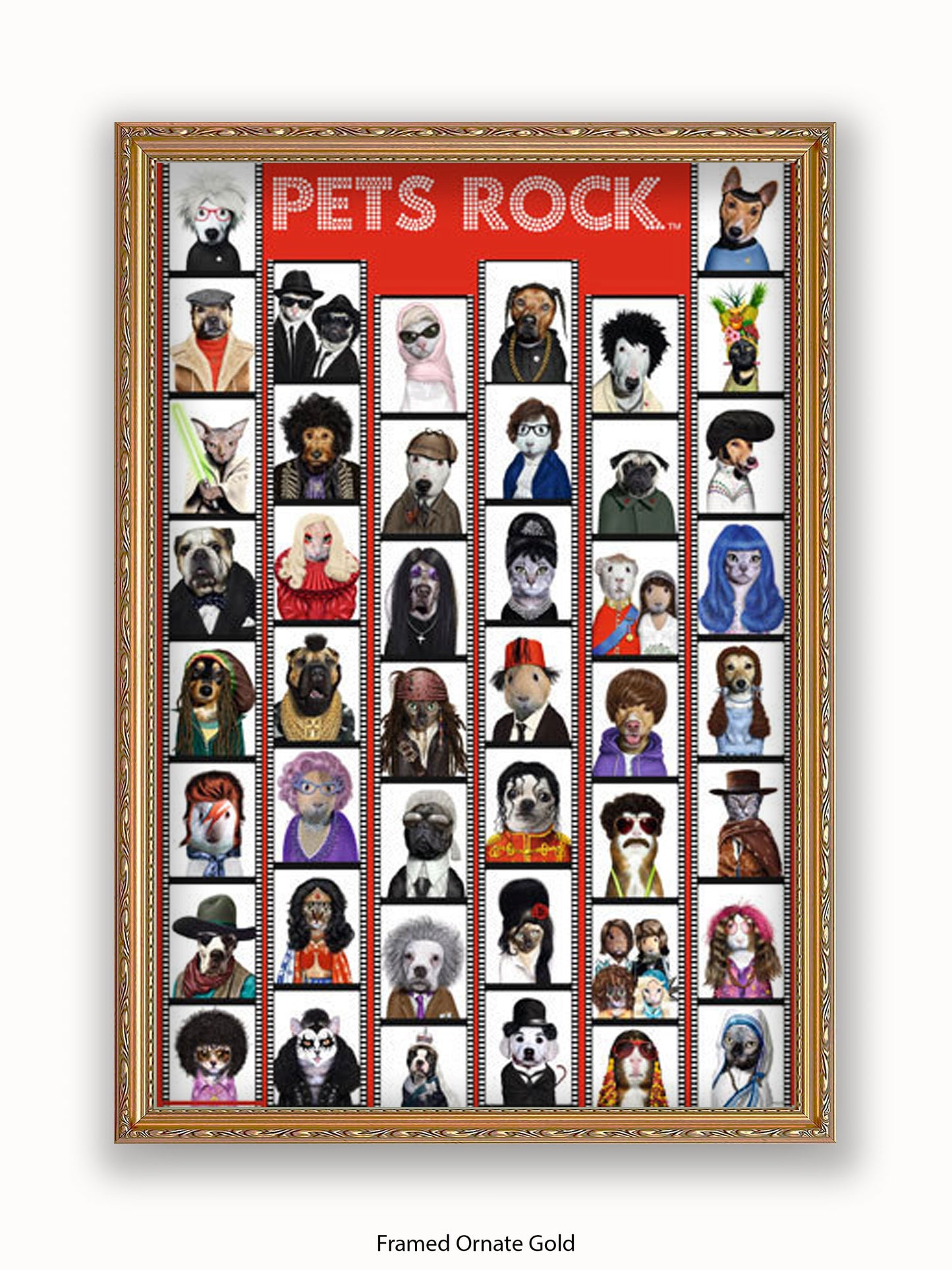 Pets  Rock  Film  Strip Poster