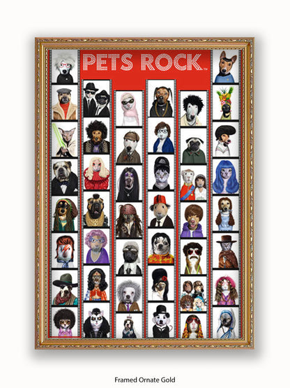 Pets  Rock  Film  Strip Poster