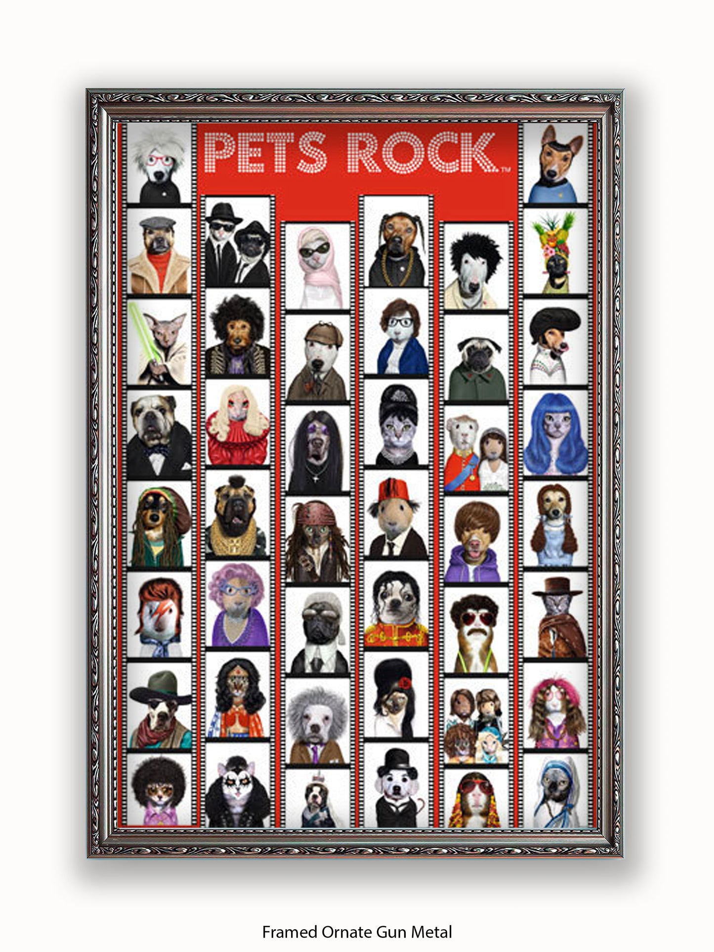 Pets  Rock  Film  Strip Poster