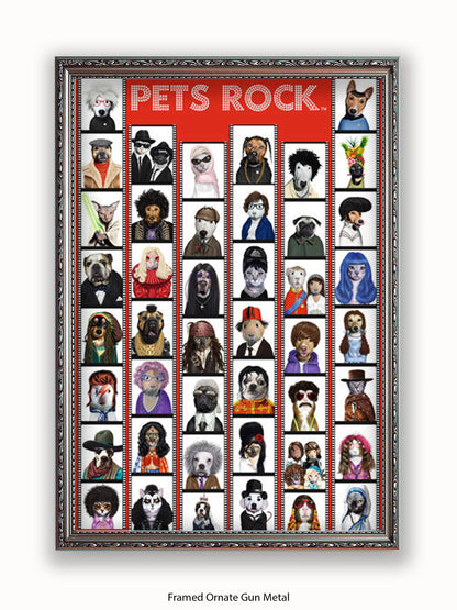 Pets  Rock  Film  Strip Poster