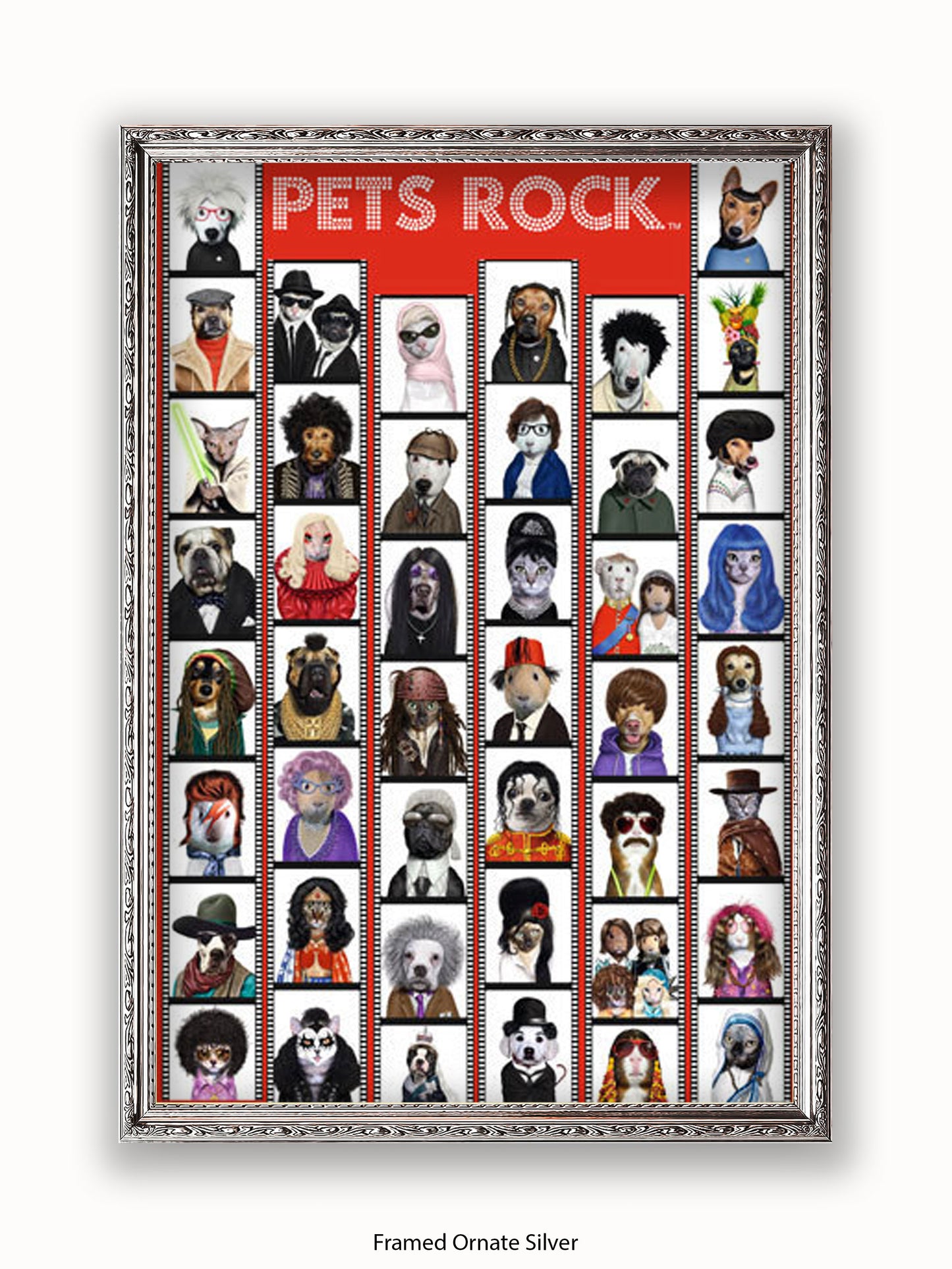 Pets  Rock  Film  Strip Poster