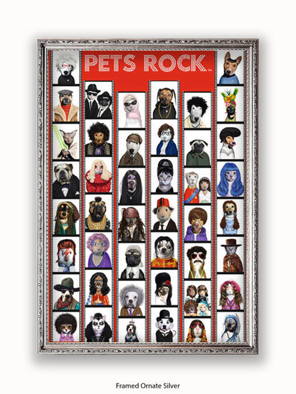 Pets  Rock  Film  Strip Poster