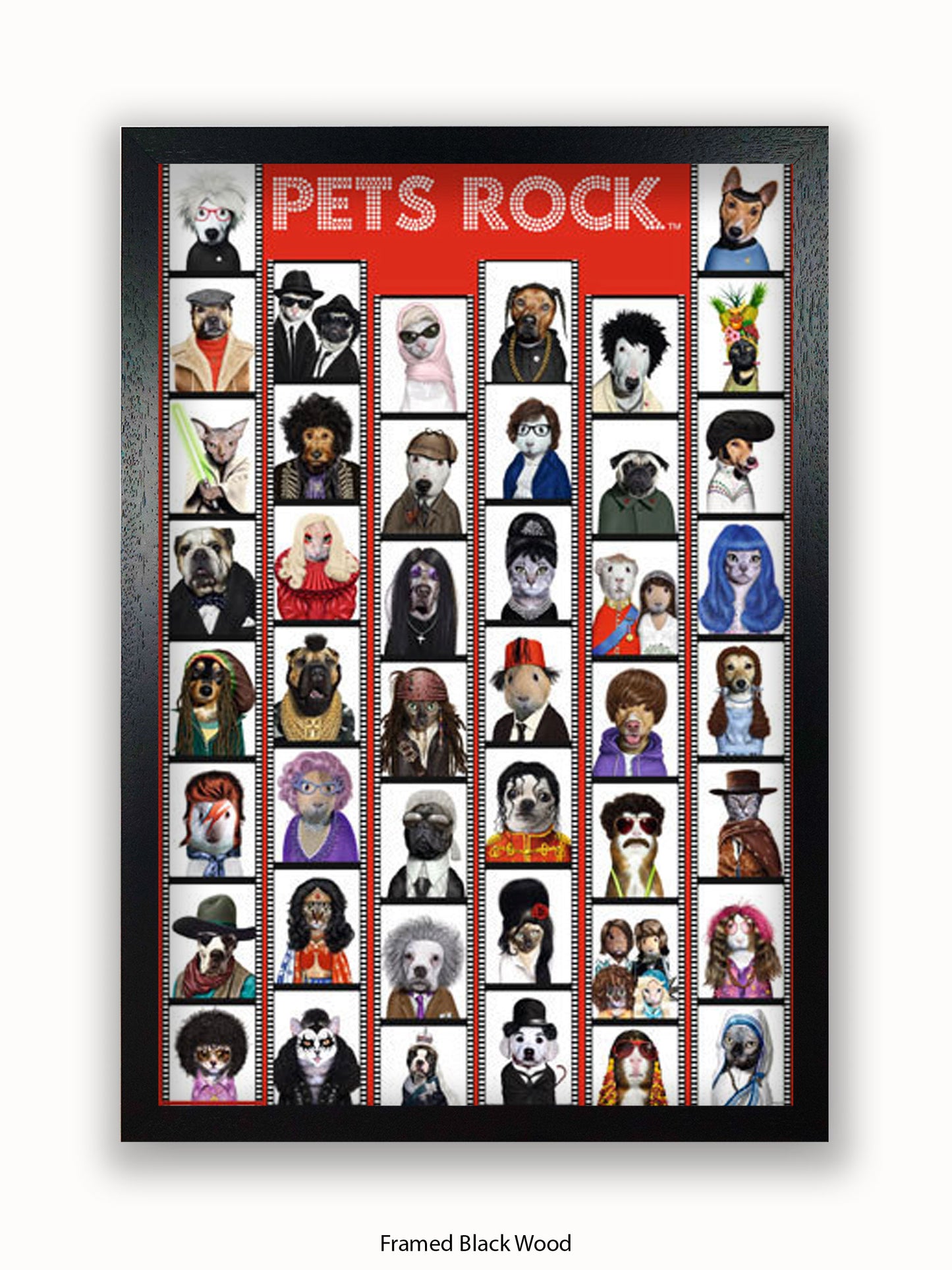 Pets  Rock  Film  Strip Poster
