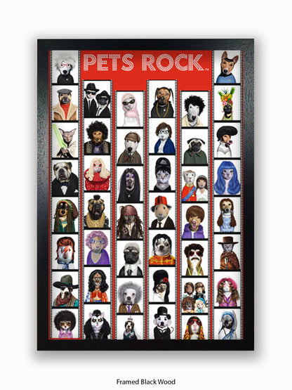 Pets  Rock  Film  Strip Poster