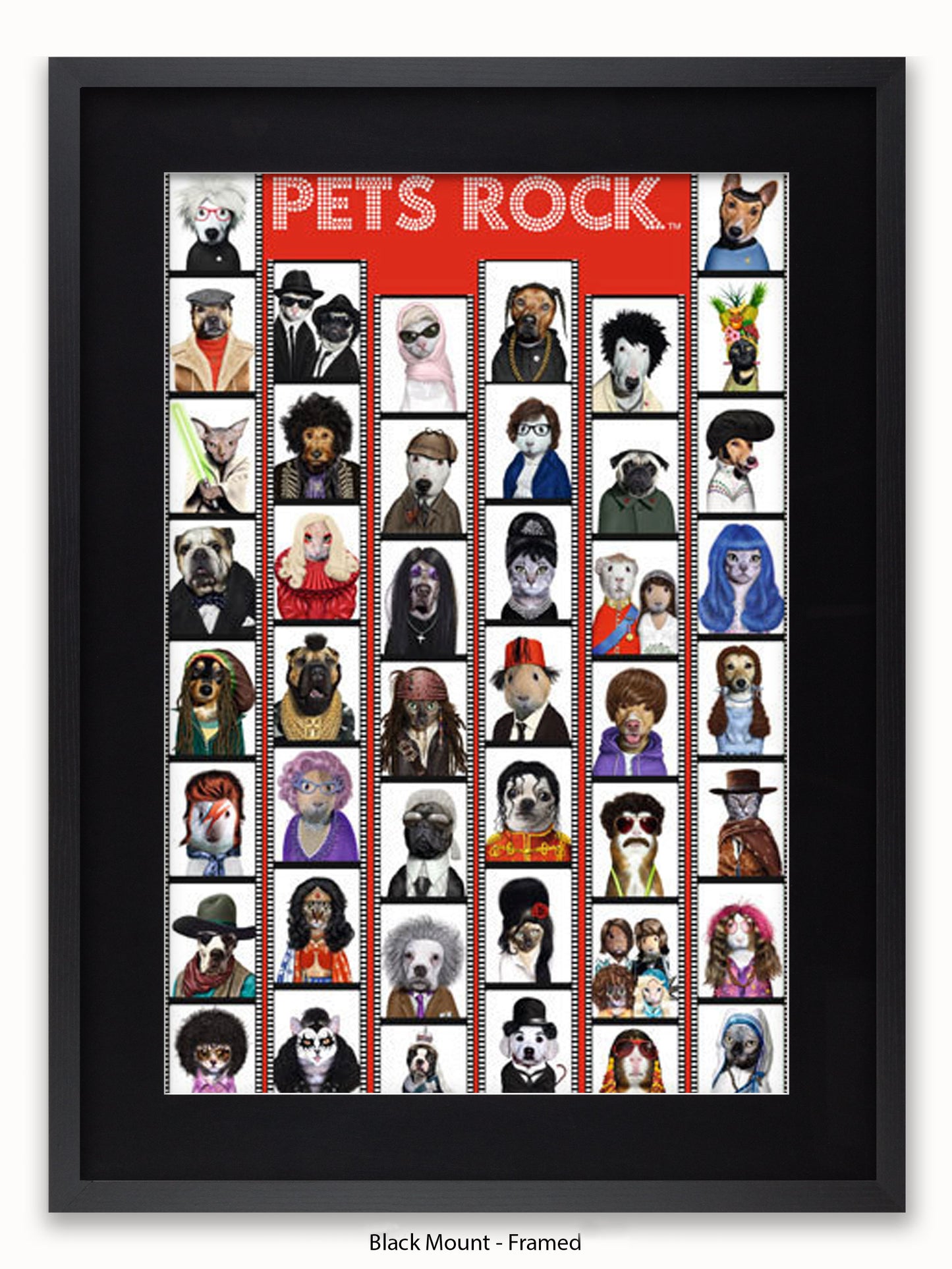 Pets  Rock  Film  Strip Poster
