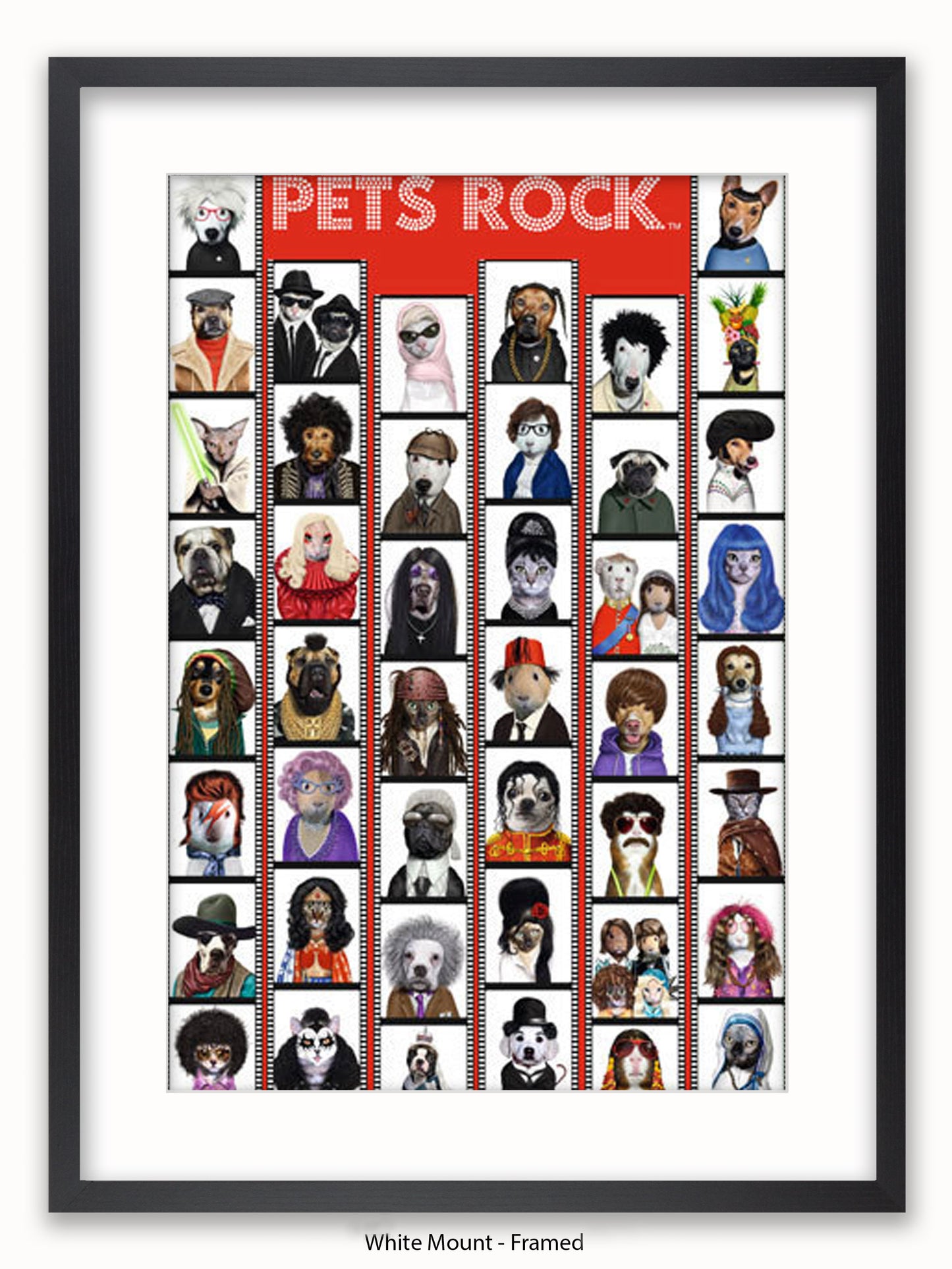 Pets  Rock  Film  Strip Poster