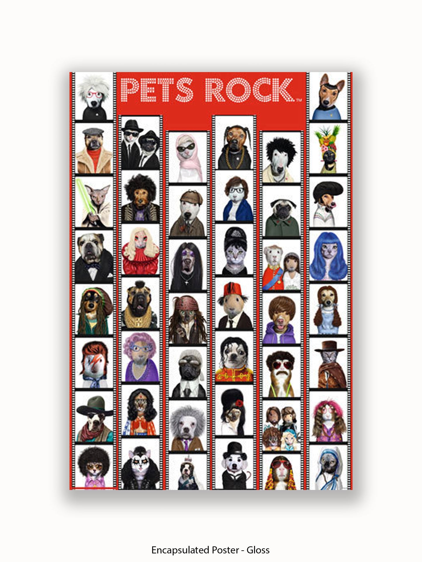 Pets  Rock  Film  Strip Poster