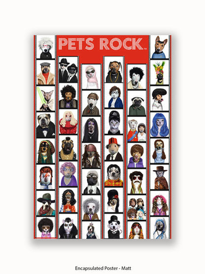 Pets  Rock  Film  Strip Poster