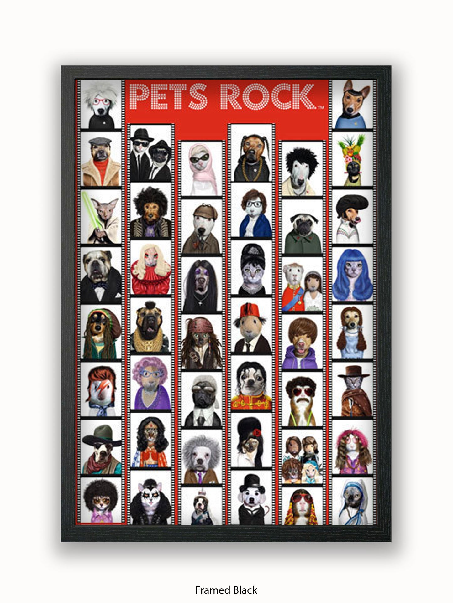 Pets  Rock  Film  Strip Poster