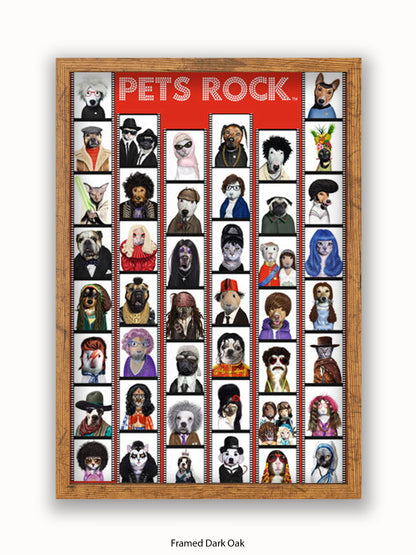 Pets  Rock  Film  Strip Poster