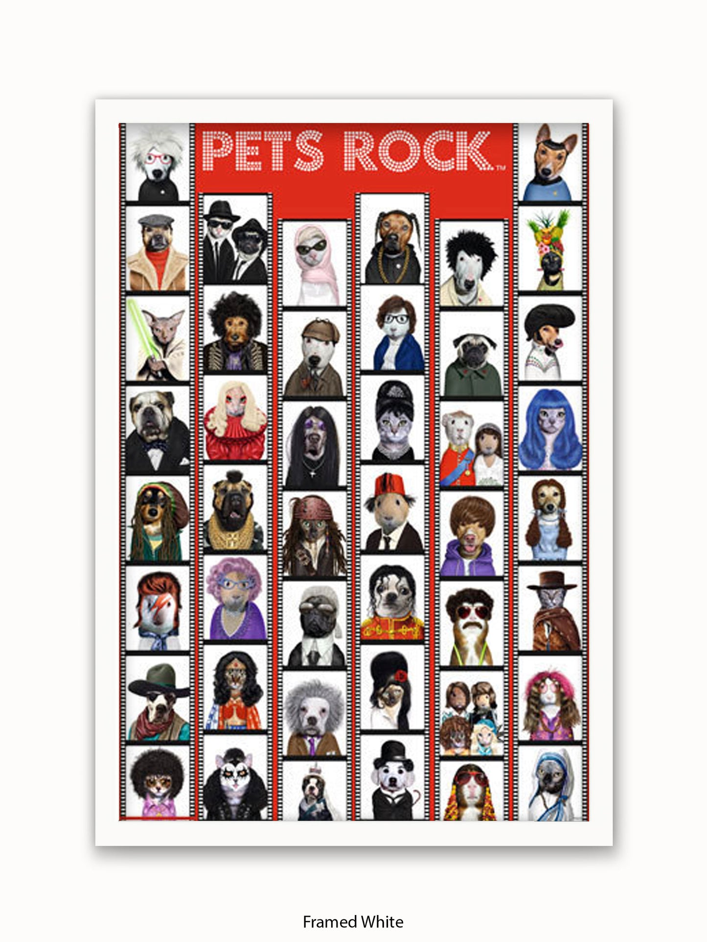 Pets  Rock  Film  Strip Poster