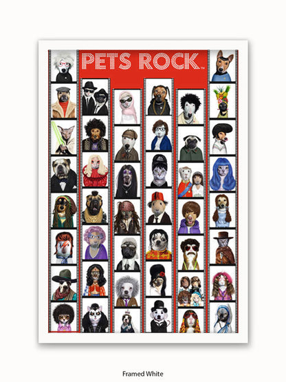 Pets  Rock  Film  Strip Poster